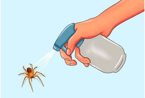 Καταπολέμηση με αράχνες