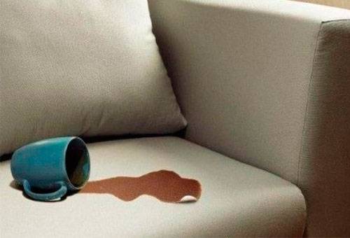 القهوة وصمة عار على الأريكة
