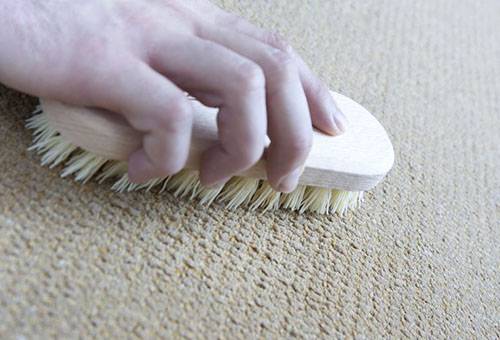 ניקוי שטיחים במברשת נוקשה