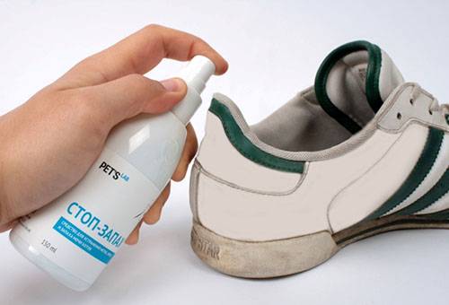 Produkt för skor mot lukten av katturin