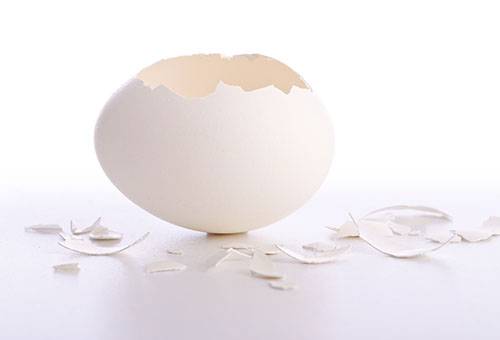 Telur telur