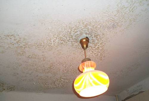 Whitewash schimmel op het plafond