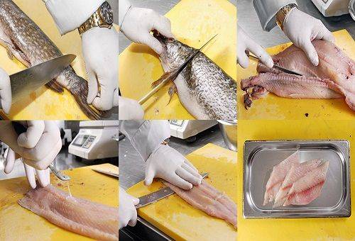 cleaning and separation of fish