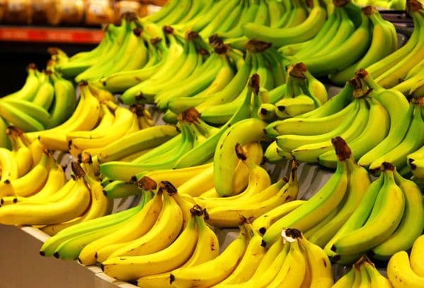 Mnoho banánů