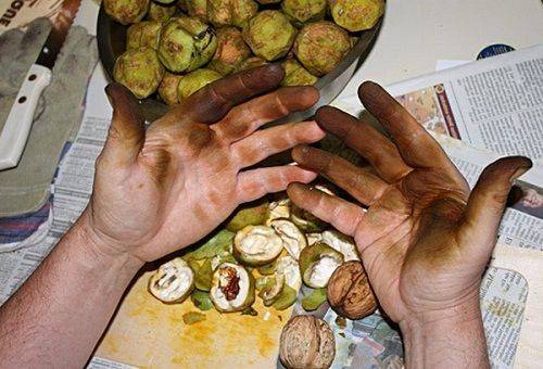 mrlje na rukama orašastih plodova