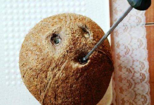 un rovescio nei buchi della noce di cocco