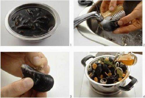 rengöring av musslor