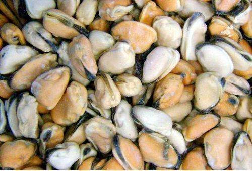 frysta musslor