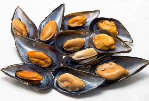 musslor på en tallrik