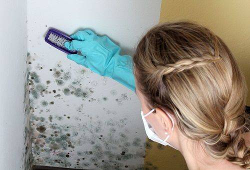 kvinde renser væggen fra skimmel