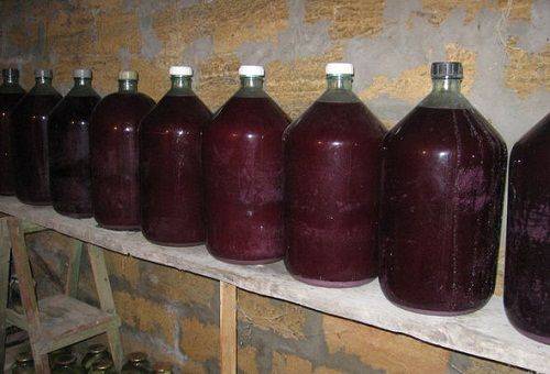 النبيذ محلية الصنع في القبو