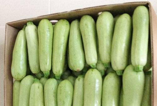 Zucchini într-o cutie