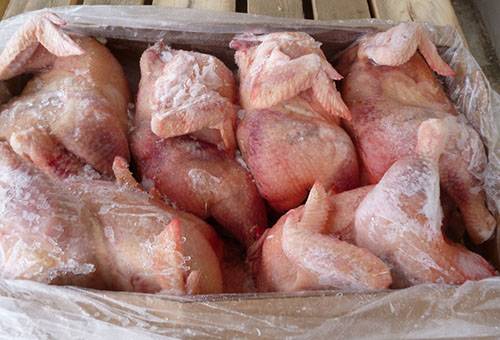 Carcasse di pollo congelate