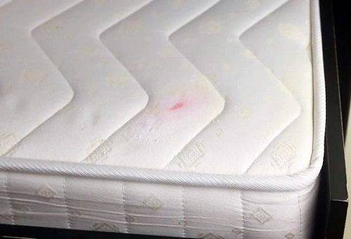 macchie di sangue sul materasso