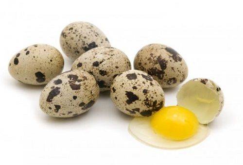 αυγά ορτυκιών