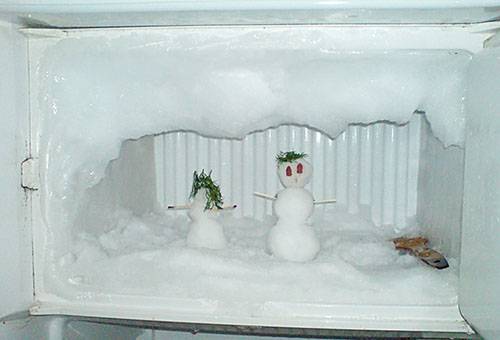 Ninot de neu al congelador