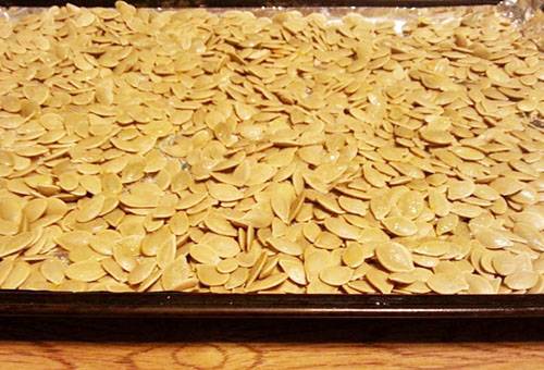 Essiccazione dei semi di zucca nel forno