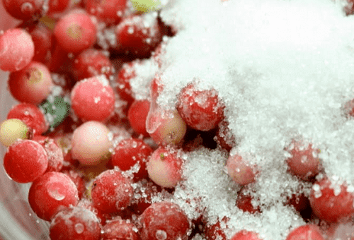lingonbär i socker