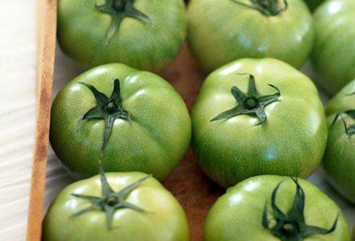 gröna tomater