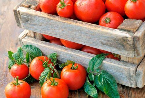 rijpe tomaten in een krat