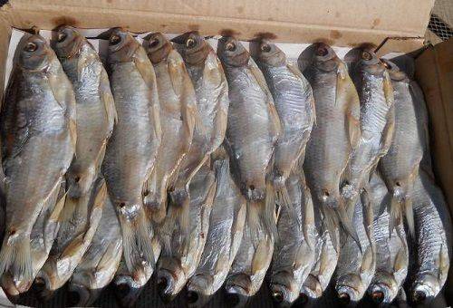 sušené ryby v krabici