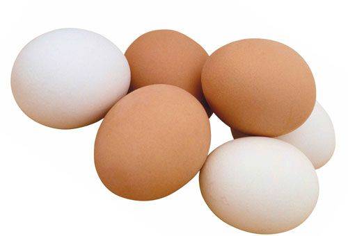 пилешки яйца