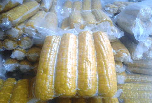 šaldyti kukurūzai