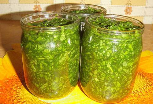 Acetosa salata in barattoli
