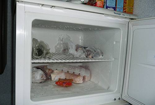Congelatore per alimenti