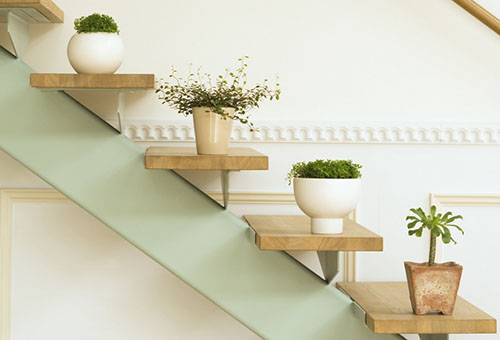 Hrnkové rostliny na schodech
