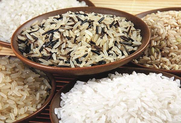 أنواع مختلفة من الأرز