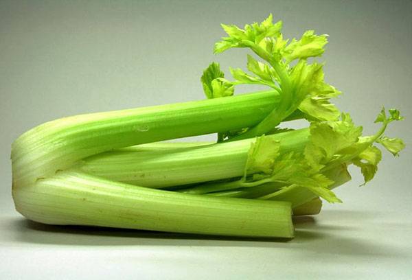 Svježi celer