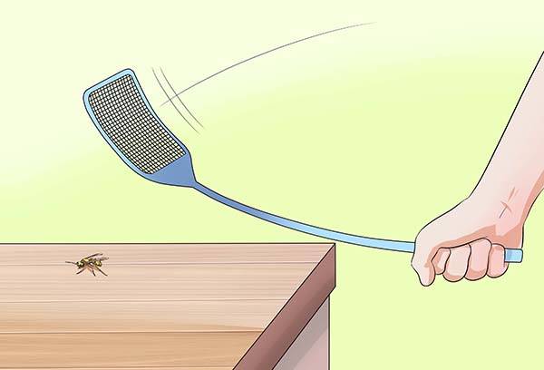 Het uitroeien van wespen door een mep
