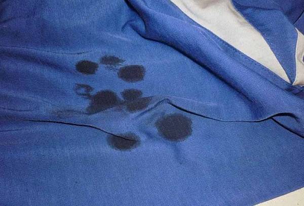 bagaimana untuk mencuci minyak pepejal dari pakaian