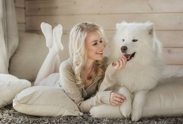 Jente med en hvit hund hjemme