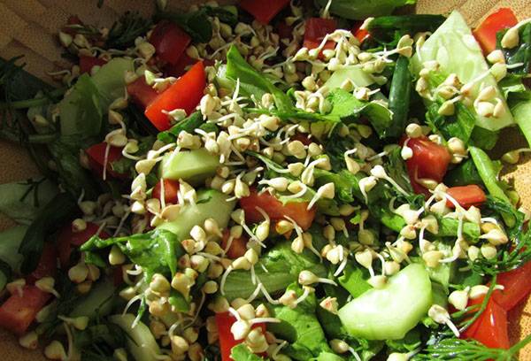 Zelena heljda salata