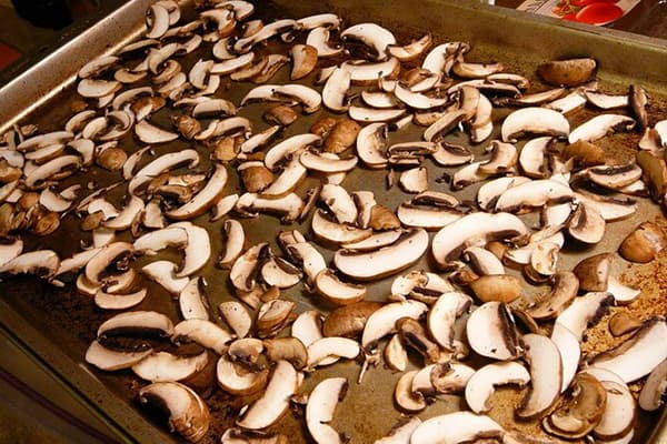 Pilze auf einem Backblech zum Trocknen