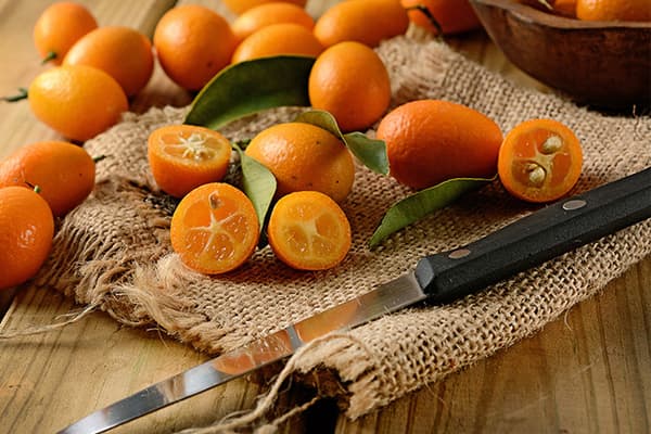 Kumquat fresc
