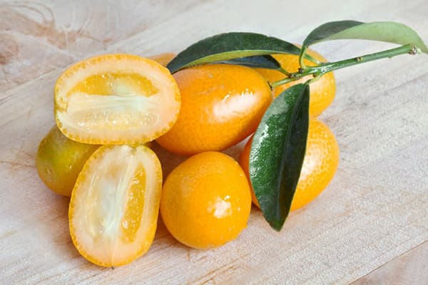 Frutos y hojas de kumquat