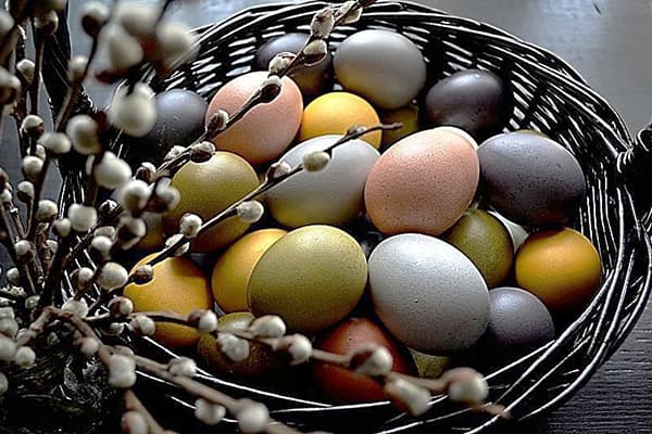 Naturlige farvede æg