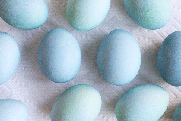 Huevos de pascua azul