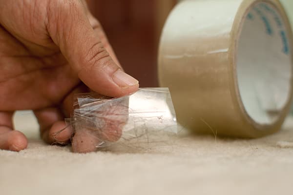 Wolle mit Klebeband vom Teppich entfernen
