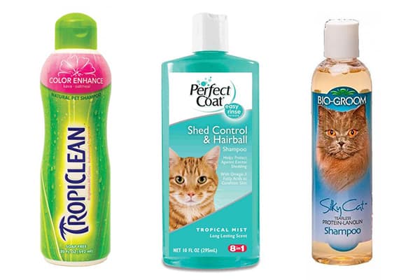Shampoo voor katten