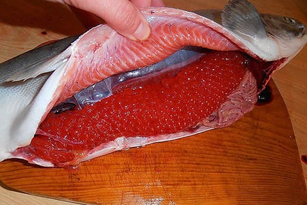 Memotong salmon merah jambu dengan kaviar