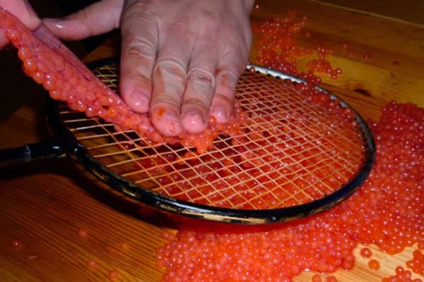 Ang paghihiwalay ng caviar mula sa pelikula gamit ang isang badminton racket