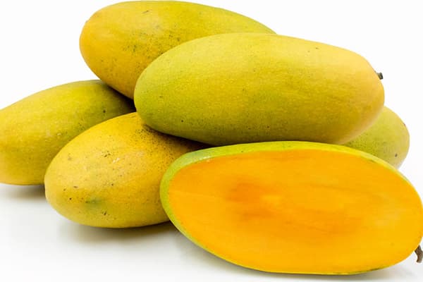 Dashery Mango