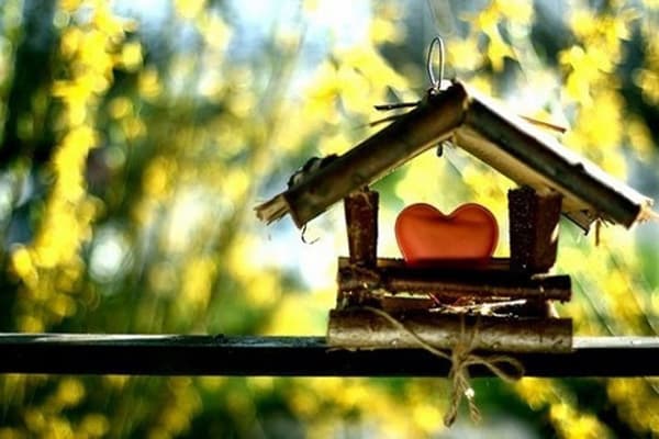 Huis met een hart