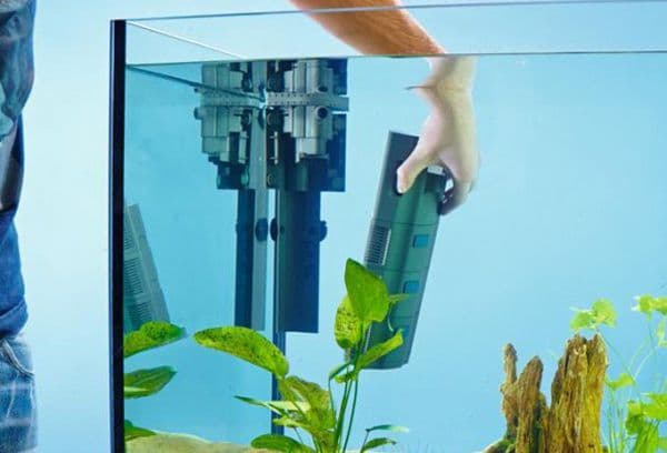 filtro de acuario