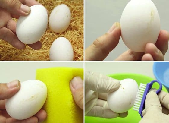 Metode de curățare a ouălor