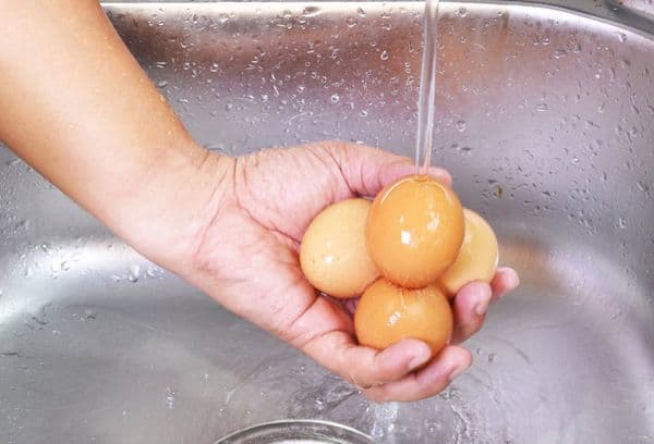 Lavaggio delle uova